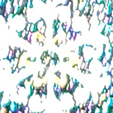 イルミネーションの写真